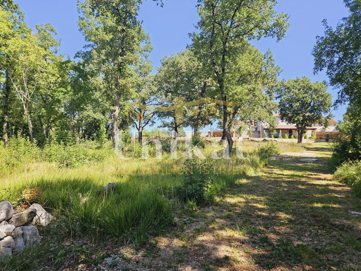Tenuta con casa in pietra ristrutturata, giardino e piscina